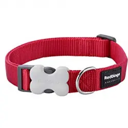Collar Red Dingo para perros Classic Rojo M