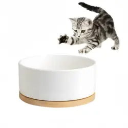 IntiMeg Bebedero termorregulado para gatos y perros - Blanco