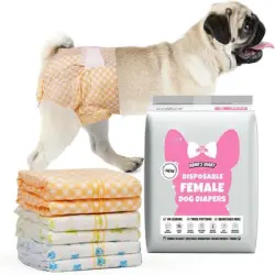 IntiMeg Pañales para perros - M, paquete de 10 [8 kg recomendados]