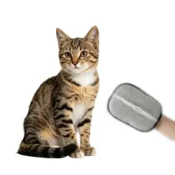 MCBOSON Guante y escobilla de goma 2 en 1 para eliminar pelo gatos perros - 2 artículos