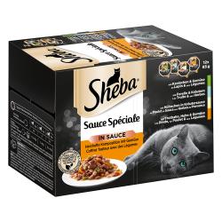 Sheba 12 x 85 g en tarrinas Multireceta - Sauce Spéciale
