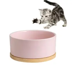 IntiMeg Bebedero termorregulado para gatos y perros - Rosa
