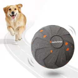 IntiMeg : pelota electrónica interactiva para perros - Gris