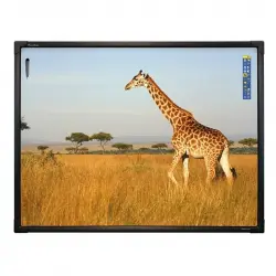 Promethean ActivBoard Touch 88" Pizarra Interactiva UltraHD 8K