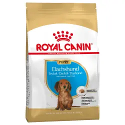 Royal Canin Teckel Puppy / Junior - 1,5 kg