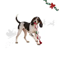 Wonder Christmas Cuerda y Cascabel  para perros 75 x 10 x 8 cm