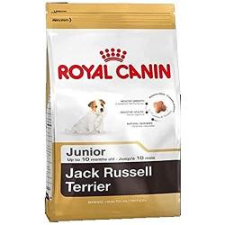 Royal Canin Jack Russell Terrier Junior 3 Kg.