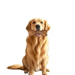 FurryFusion  de PP con forma de hueso para perros, 218*75*52 mm - Grande