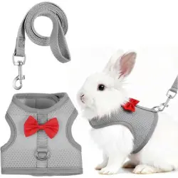 HausPets Arnés suave ajustable correa elástica, conjunto arnés correa - Gris