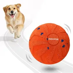 IntiMeg : pelota electrónica interactiva para perros - Naranja