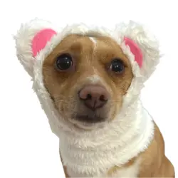 Puppies & Pom Poms Gorro Bufanda Oso Polar para Perros - SML-MED