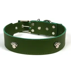 COLLAR DE PIEL VERDE CON  HUELLA