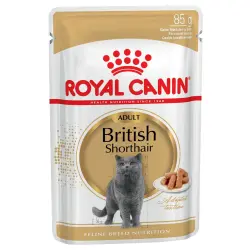 Royal Canin Breed British Shorthair - 12 x 85 g