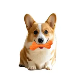FurryFusion Huesos blandos para uñas de perros - Artículo 1