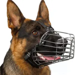 MCBOSON Bozal de alambre XL para perros - 1 artículo