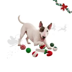 Wonder Christmas Bastón de Caramelo  para perros Set Bastón con 6 pelotas
