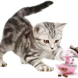 Bola dispensadora de golosinas para gatos Catit Rosa