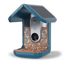 Bird Buddy comedero con cámara y techo solar para aves silvestres - 16 x 17,5 x 23 cm (L x An x Al)