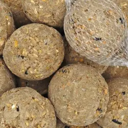 KLASEBO Bolas de grasa con red para aves silvestres - 100 x aprox. 90 g