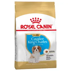 Royal Canin Cavalier King Charles Junior - 1,5 kg