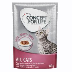 Concept for Life comida húmeda para gatos 24 x 85 g ¡con descuento! - All Cats en salsa             
