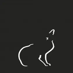 Ilustración de gato doméstico A4 sin marco color Negro