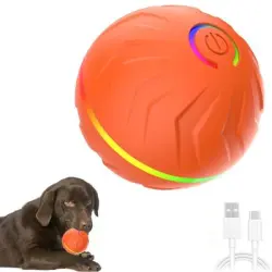 IntiMeg Pelota inteligente para perros que rebota - Naranja