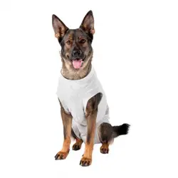 Karlie Flamingo Safety Body Gris 44 cm