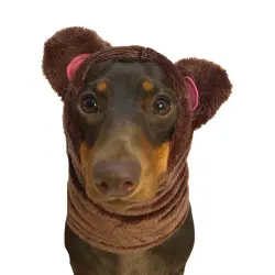 Puppies & Pom Poms bufanda o gorro oso de peluche marrón para perros - LRG-XL