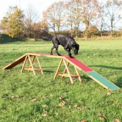 Trixie Pasarela Para Agility