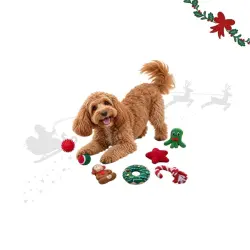 Wonder Christmas Pack Árbol Navideño  para perros 7 uds.