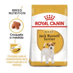 Royal Canin Jack Russell Terrier Adult 3 Kg.