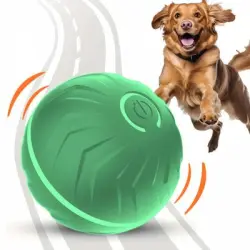 IntiMeg Pelota inteligente para perros que rebota - Verde