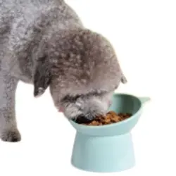 MCBOSON Comedero para gatos inclinado, elevado y antivómito - 1 artículo