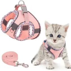 IntiMeg Arnés para gatos y perros pequeños - XXS