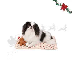 Wonder Christmas Manta Navideña Jengibre para perros 27 x 23 x 18 cm