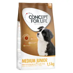 Concept for Life 2 x 1 kg / 1,5 kg pienso para perros ¡a precio especial! - Medium Junior (2 x 1,5 kg)