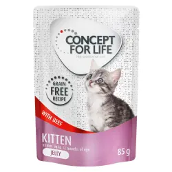 Concept for Life Kitten sin cereales con vacuno en gelatina - 24 x 85 g