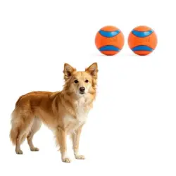 MCBOSON Tamaño mediano, juego de 2, todas razas, juguete perros Ultra Balls - 1 artículo