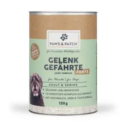 PAWS & PATCH Joint Companion Forte para perros Adultos y Senior - 120 g