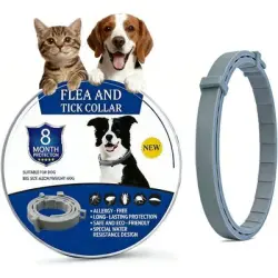 ZooVenture Collar antipulgas de goma para bebés de 8 meses y 62 cm - Longitud: 62 cm (ajustable)