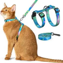 IntiMeg Arnés y correa para gatos - Una pieza