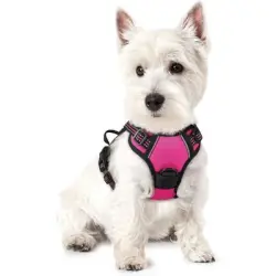 Pawffee Arnés acolchado ajustable para perros, talla S, 34-63 cm, rojo rosa - 1 pieza