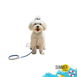 Summer Vibes Pack Correa y Collar Dolce Vita para perros - M (120 x 33-51 x 2 cm