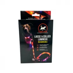 Correa Y Collar Luminosos Para Perros - Venteo - Led Recargable Por Usb