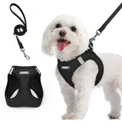 HausPets Arnés para perros con correa reflectante y malla suave - Artículo 1