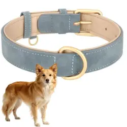 HausPets Collar de cuero acolchado ajustable, azul, talla L, perros grandes - 1 artículo