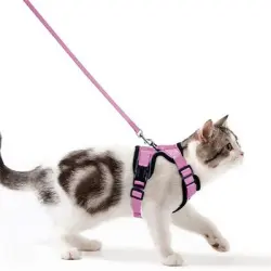 IntiMeg Arnés y correa para gatos y perros pequeños - XS