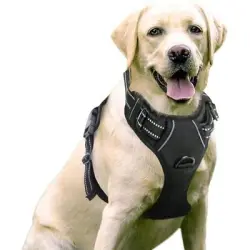 Pawffee Arnés antitirones con 2 clips ajustables para perros grandes - 1 pieza