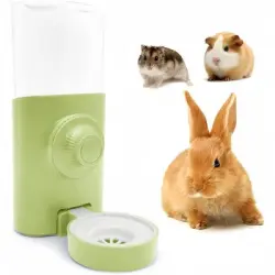ZooVenture Dispensador automático de agua de 600 ml para conejos - Verde